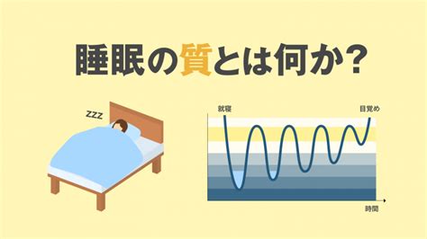 睡眠中|【分かりやすく解説】睡眠とは何か【役割や種類も知。